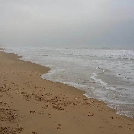 La Remigeasse Σπίτι διακοπών Dolus d'Oléron